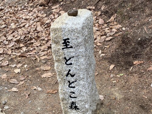 トトロの笹包みのお土産