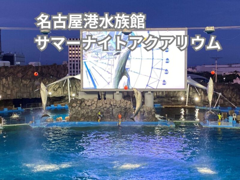 名古屋港水族館サマーナイトアクアリウム